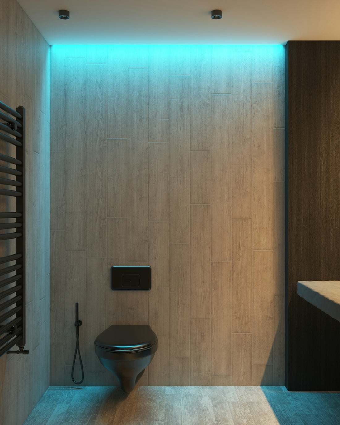 a bathroom with a toilet and a radiator